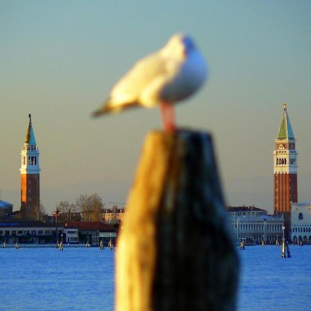 Villa Venice Movie Lido de Venecia Exterior foto