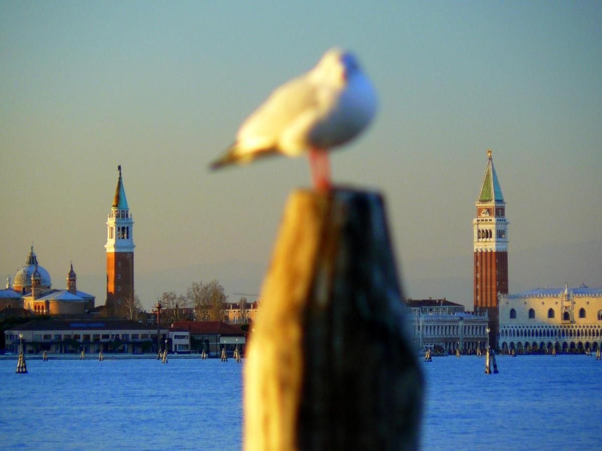 Villa Venice Movie Lido de Venecia Exterior foto